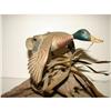 Image 2 : MALLARD DUCK CARVING