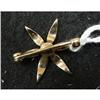Image 2 : 14KT GOLD DIAMOND PIN