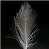 Image 2 : Kuramata Design Office, Floating Feather, Jap