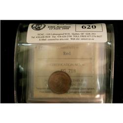 Lot of 7 ICCS graded  small Cents;1946 (3)  M