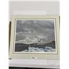Image 1 : Robert Bateman Antarctic Print 60/950 Comes with Matting 8.5 x 22.5
