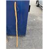 Image 1 : Walking stick