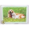 Image 1 : 1000PC PUZZLE SIZE 50X75CM PUPPIES