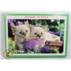 Image 1 : 1000PC PUZZLE SIZE 50X75CM KITTIES