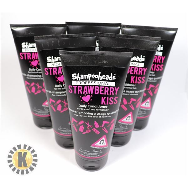 SHAMPOOHEADS DAILY SHAMPOO- 500ML. 6 UNITS