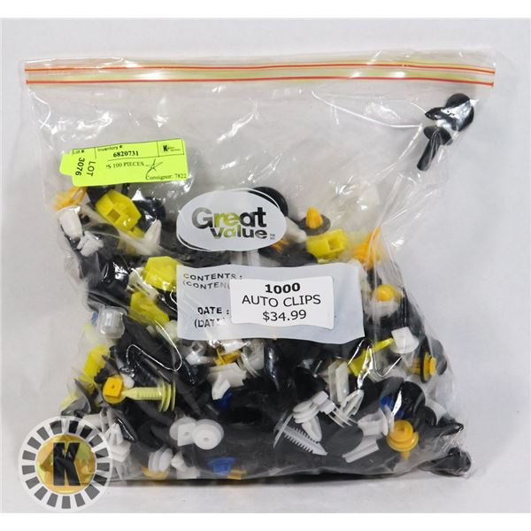AUTO CLIPS 100 PIECES