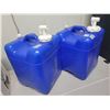 Image 3 : 2 clean water jugs