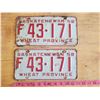 Image 1 : pair of 1958 Sask license plates