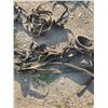 Image 4 : horse collar, reins, straps, hames, blinders