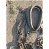 Image 5 : horse collar, reins, straps, hames, blinders