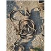 Image 8 : horse collar, reins, straps, hames, blinders