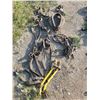 Image 1 : horse collar, reins, straps, hames, blinders