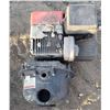 Image 1 : Banjo pum Briggs and Stratton Engine