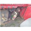 Image 28 : 1964 Dodge Grain Truck 5882921069 *LOCATED OFF SITE, SEE DESCRIPTION*