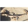 Image 1 : hidden hitch