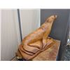 Image 4 : Wood Carved Seal by Brian McEneny Cat A