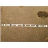 Image 2 : Rubber Sanding Drum Set and more. Cat B