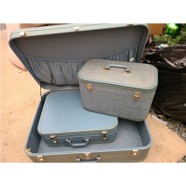 Vintage Luggage Cat A