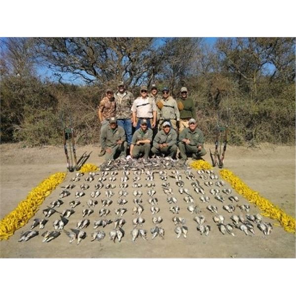 Argentina Dove Hunt