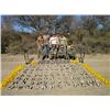 Image 1 : Argentina Dove Hunt