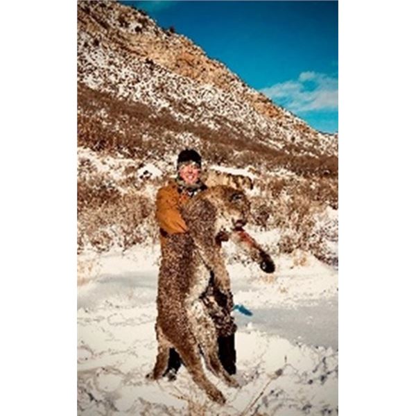 Mountain Lion Hunt