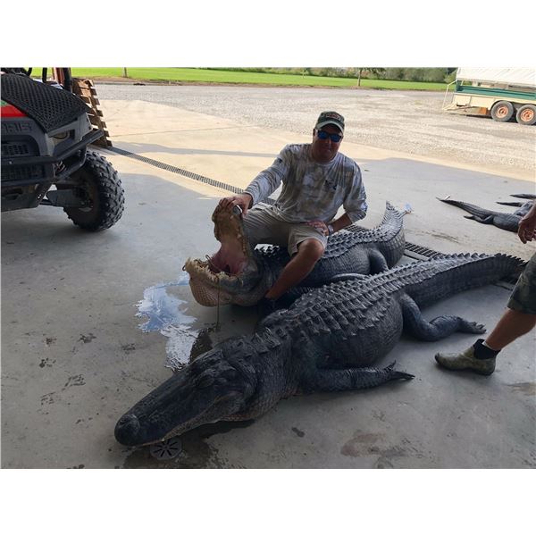 Alligator Hunt