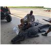Image 1 : Alligator Hunt