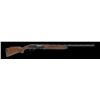 Image 1 : Ladies 20 Gauge Shotgun Package