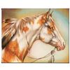 Image 1 : Dreamer Horse by Katon, Martin