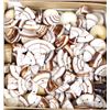 Image 4 : Collection of Beads, Cabochons, Shells, Supplies