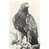 Image 2 : Hand Signed Eagle Print by Jim Branscum
