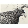 Image 3 : Hand Signed Eagle Print by Jim Branscum