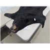 Image 2 : (DT) Black Bear Hide 68" x 67