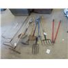 Image 1 : (TS) 9 Hand Yard- Rakes, Forks, Spades, Plus