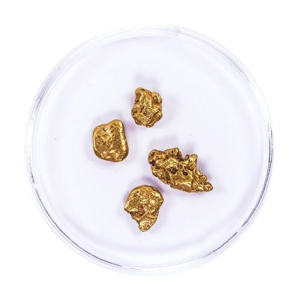 Lot of Gold Nuggets 4.04 Grams Total Weight