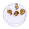 Image 1 : Lot of Gold Nuggets 3.53 Grams Total Weight