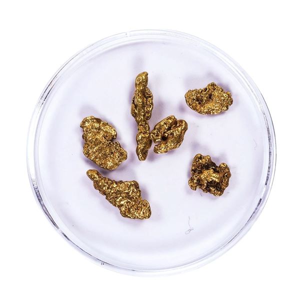 Lot of Gold Nuggets 3.93 Grams Total Weight