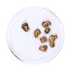 Image 1 : Lot of Gold Nuggets 2.58 grams Total Weight