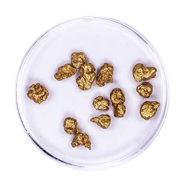 Lot of Gold Nuggets 6.53 grams Total Weight