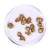 Image 1 : Lot of Gold Nuggets 6.53 grams Total Weight