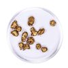 Image 2 : Lot of Gold Nuggets 6.53 grams Total Weight