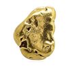 Image 1 : 5.35 Gram Yukon Gold Nugget