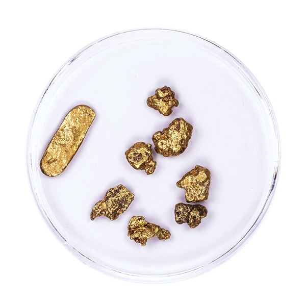 Lot of Gold Nuggets 3.35 grams Total Weight