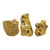 Image 1 : Lot of Gold Nuggets 3.52 Grams Total Weight