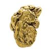 Image 1 : 5.30 Gram Yukon Gold Nugget