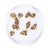 Image 2 : Lot of Gold Nuggets 4.11 grams Total Weight