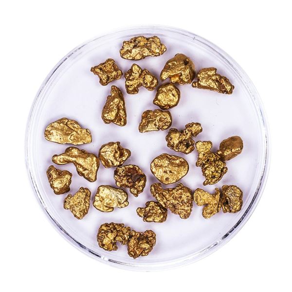 Lot of Gold Nuggets 10.24 grams Total Weight