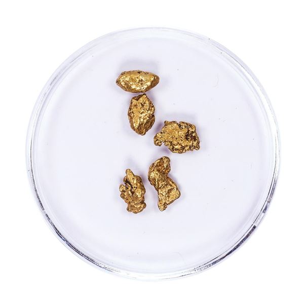 Lot of Gold Nuggets 2.92 grams Total Weight