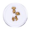 Image 1 : Lot of Gold Nuggets 2.92 grams Total Weight