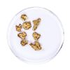 Image 1 : Lot of Gold Nuggets 2.70 grams Total Weight
